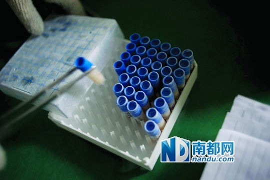 <p>    當(dāng)患者實(shí)施治療時(shí)，會(huì)提前14天通知實(shí)驗(yàn)室，實(shí)驗(yàn)員取出液氮罐里儲(chǔ)存的免疫細(xì)胞樣本進(jìn)行培養(yǎng)。</p>